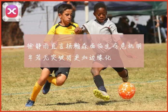 徐静雨直言杨瀚森面临生存危机明年若无突破将更加边缘化